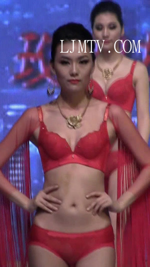2013热情芭莎内衣秀-2
