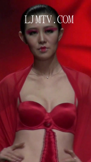 2013深圳内衣展创意设计内衣秀-2