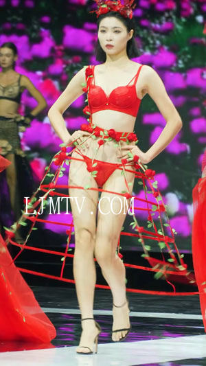 Show2023广州内衣展羽诗芬内衣秀性感美女模特时尚秀场下着モデル